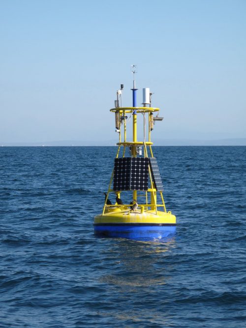 Oceaongraphic buoy (Credit: Slovenian National Institute of Biology)