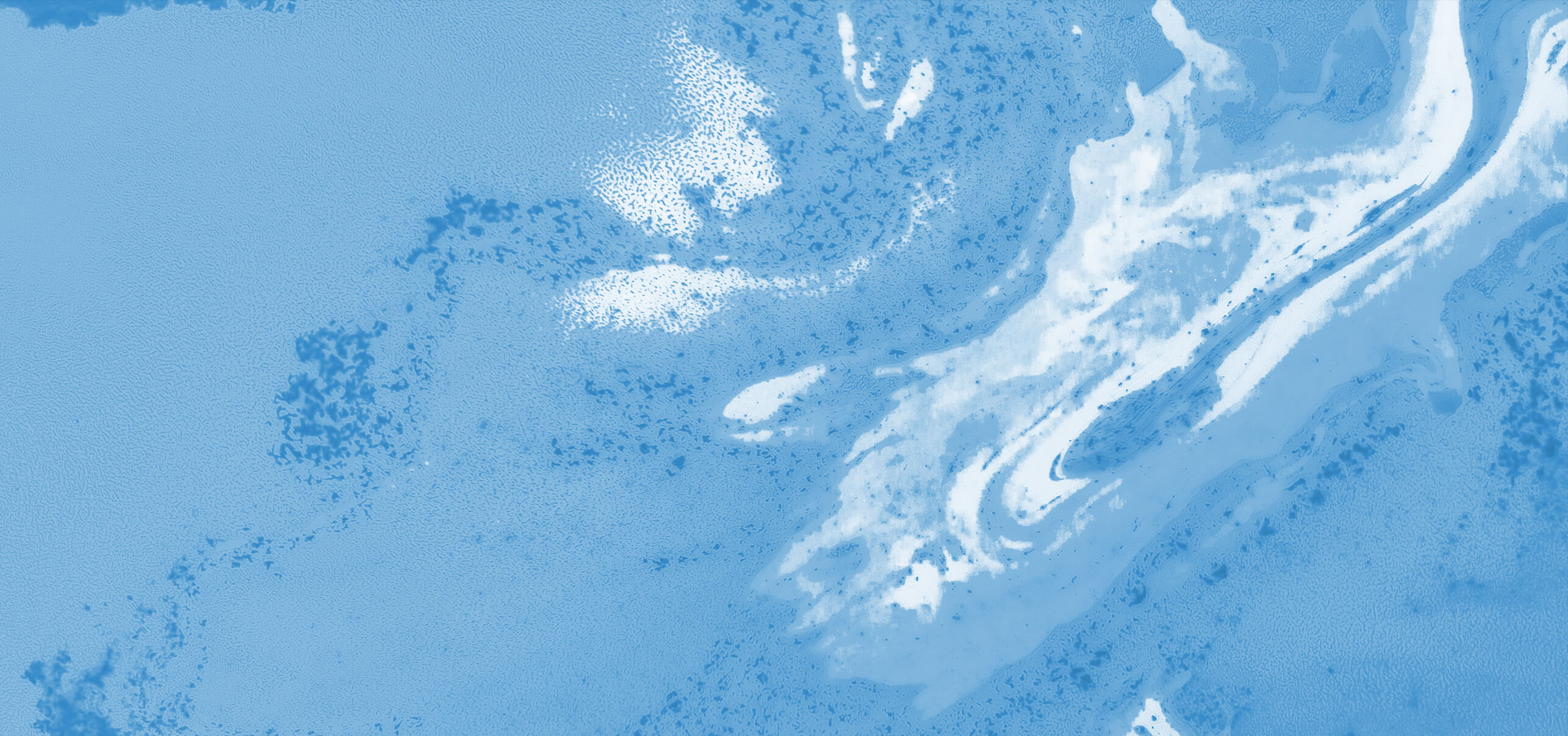 BioEcoOcean